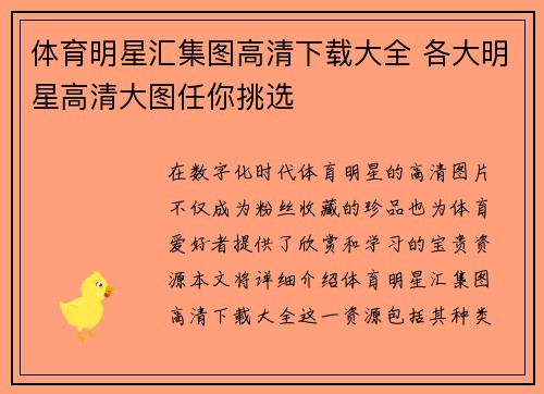 体育明星汇集图高清下载大全 各大明星高清大图任你挑选