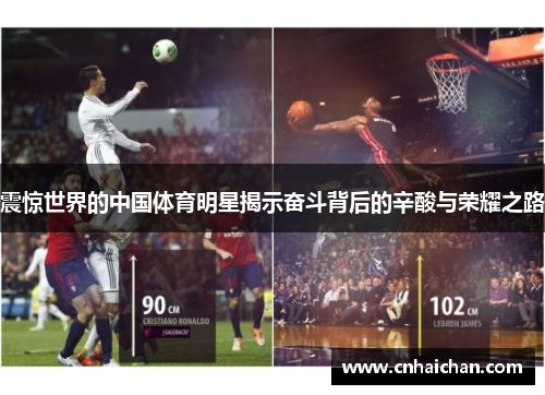 震惊世界的中国体育明星揭示奋斗背后的辛酸与荣耀之路